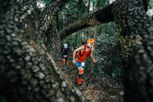 BIB: 
                            <button type="button" onclick="openModal(25392021)" class="btn btn-primary btn-sm float-right btn-popup" data-toggle="modal" data-target=".modal-high-quality">
                        <i class="fas fa-shopping-cart"></i> Add to Cart
                    </button>
                                            <button type="button" onclick="isThisMe(25392021, true)" class="btn btn-success btn-sm float-right btn-popup btn-isme hidden" data-toggle="tooltip" data-placement="bottom" title="นี่คือรูปของคุณใช่ไหม คลิกที่นี่เพื่อเอาเข้าอัลบั้ม">
                        <i class="fas fa-plus"></i> Add to album
                    </button>
                    <button type="button" onclick="isThisMe(25392021, false)" class="btn btn-warning btn-sm float-right btn-popup btn-isnotme hidden">
                        <i class="fas fa-ban"></i> Remove from album
                    </button>